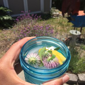 Summer in a&nbsp;glass